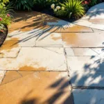 למדו כיצד לנקות בקלות פטיו ושבילי גינה שהשחירו, בעזרת שיטות פשוטות ויעילות שהוכחו כמועילות.