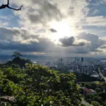 גלה כיצד מוצר אמבטיה יעיל אחד יכול למנוע מחרקים ומכרסמים לשתכן בגינה שלך בצורה פשוטה ובטוחה.