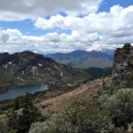 הסיפור המרתק על השכירה שגילתה שהיום שבו שיתפה חדר עם אם חד הורית הפך למקור למחלוקת נרחבת בשכונה. מי באמת אשם ומה היו ההשלכות?