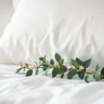 גלו כיצד עלה דפנה מתחת לכרית שיפר את איכות השינה שלי באופן מדהים ובלתי צפוי.