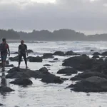 גלה כיצד שרף צמחי מהמעבדה יכול להחליף פלסטיק בבניין שלך, להציע פתרון סביבתי ויעיל לבנייה ברת קיימא.