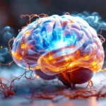 גילוי ההבדל בין תחושת נפשית חסרת מנוחה למוח צלול: הסברים פסיכולוגיים שיעזרו לך להבין את הפער המרתק בין הרגשות למחשבות.